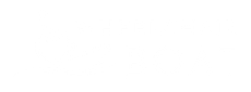 Wheelchair Boat logo