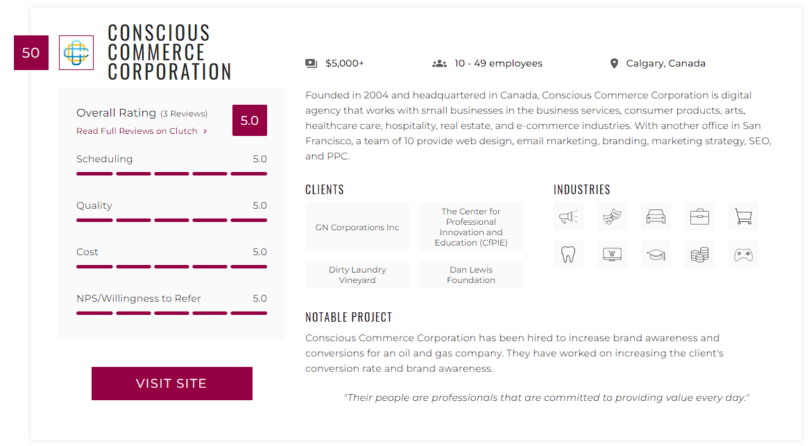 A screenshot of a website that says conscious consultation