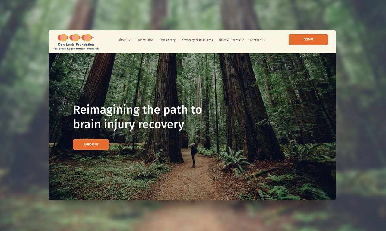 A person is walking down a path in the woods.
