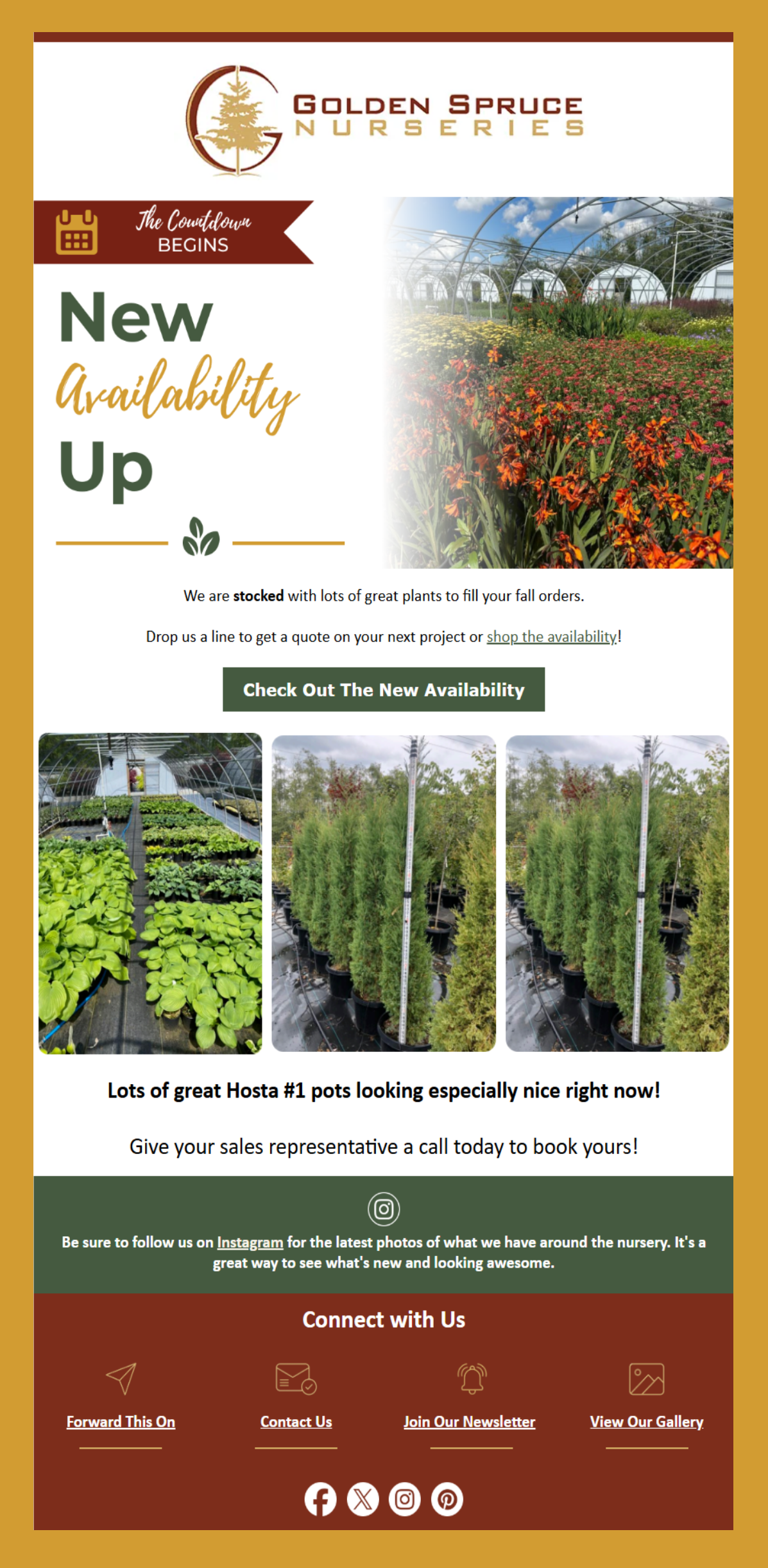 Email template for a plant nursery with “New Growth Up,” photos of flower fields and tree saplings.