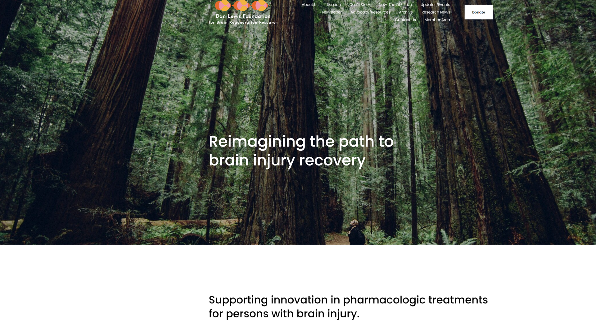 A screenshot of a website for a company called reimagining the path to brain injury recovery.
