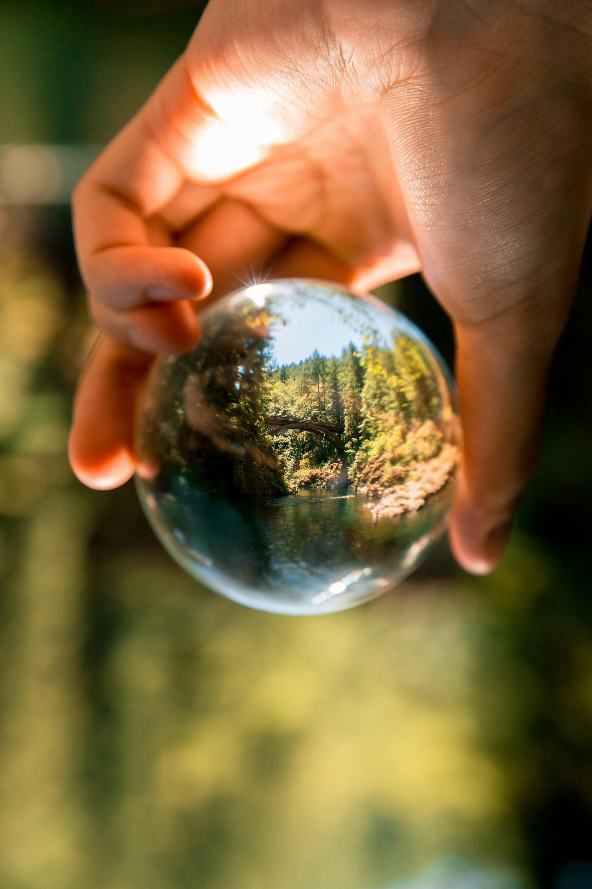 Hand holding a clear glass orb reflecting a forest scene with a body of water.