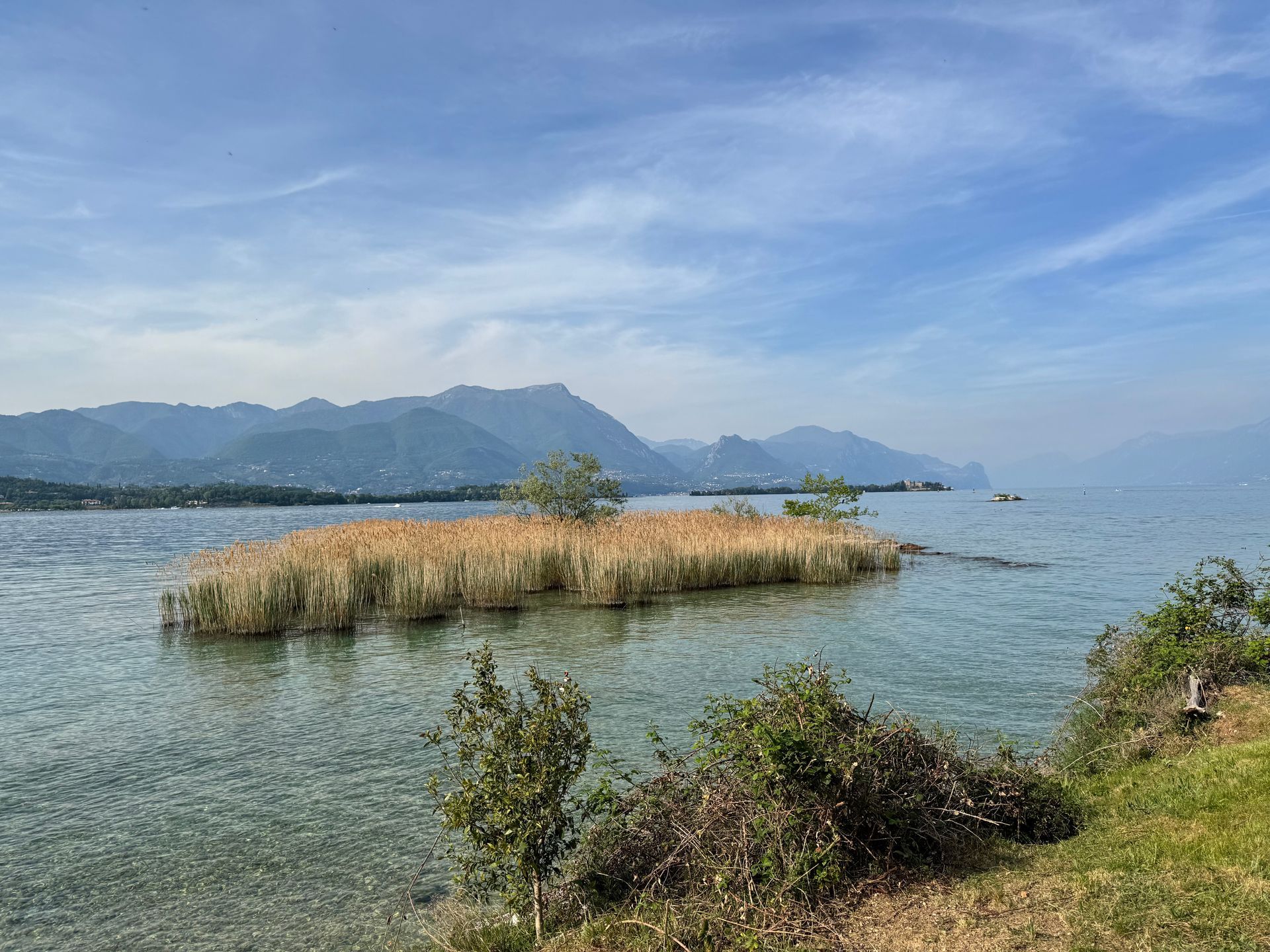 Esplorazione naturalistica in Stand Up Paddle tra i canneti e la natura dell'Isola di San Biagio