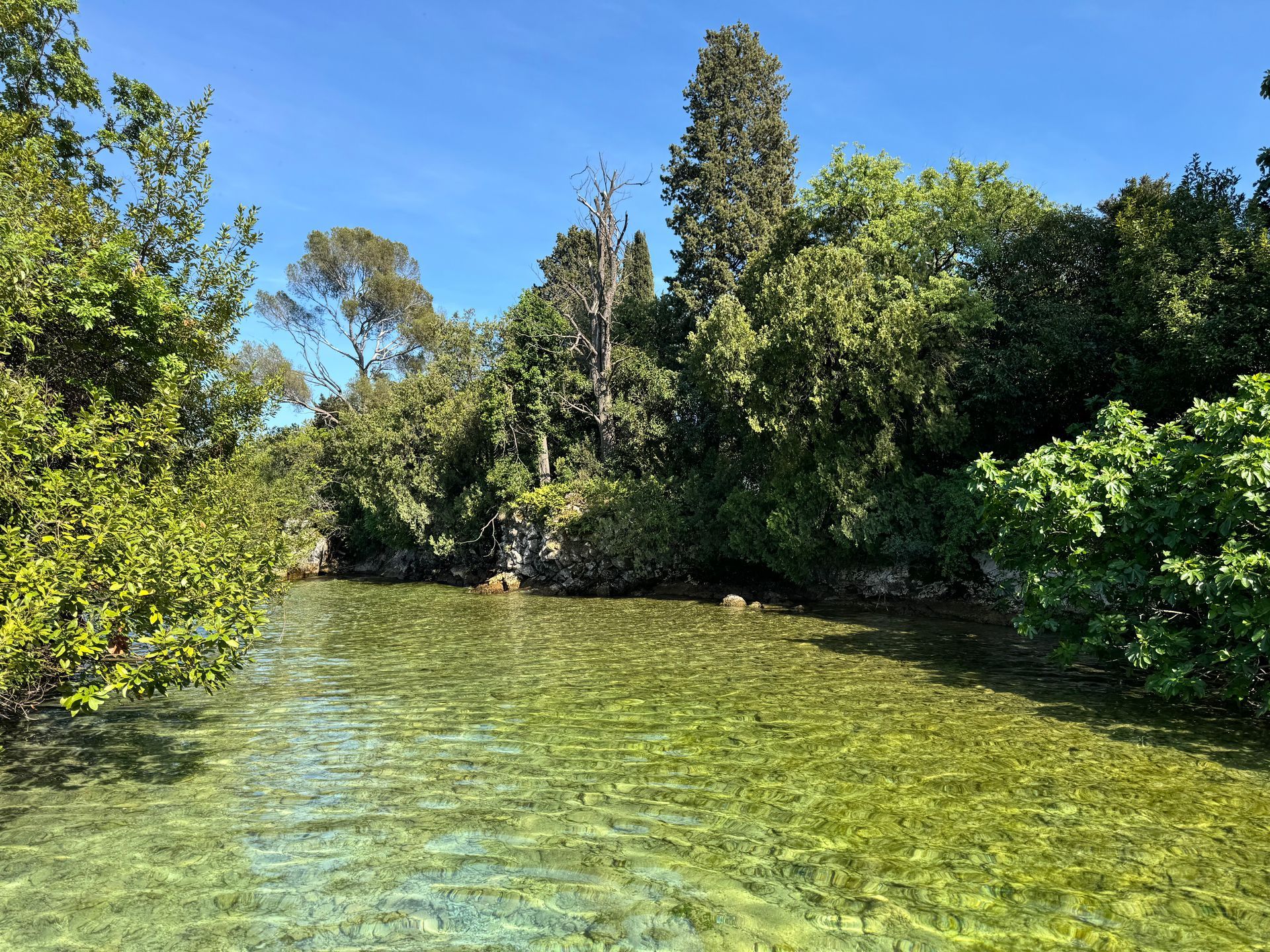 Esplorazione in SUP tra la natura e le acque calme del Lago di Garda
