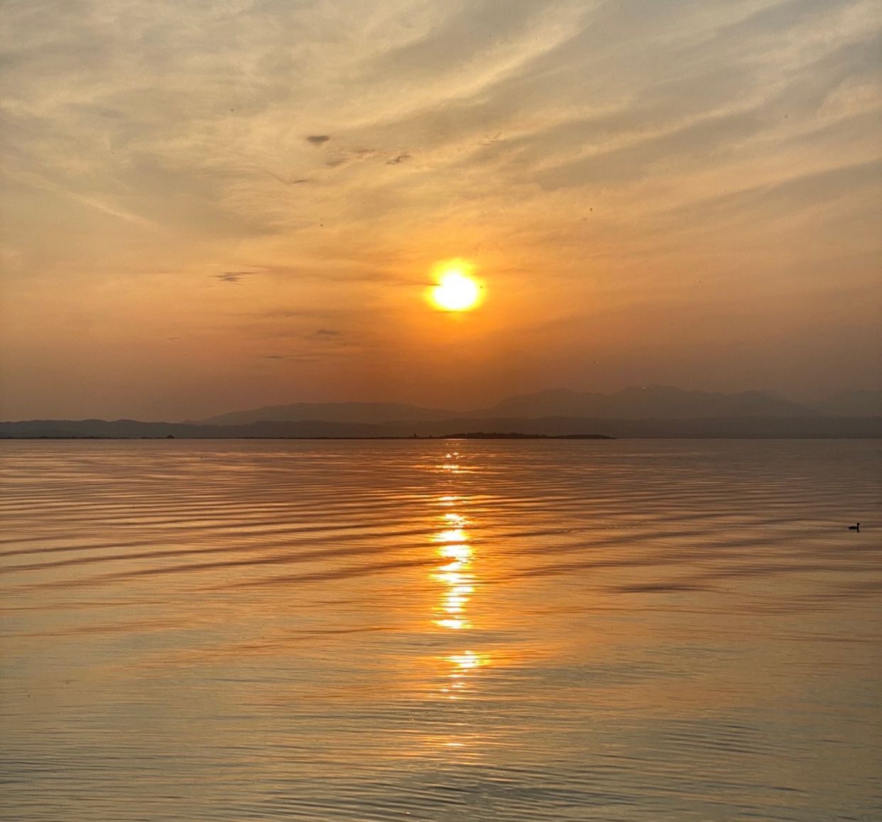 Sup al tramonto Sirmione