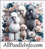 AllPoodleInfo-Logo