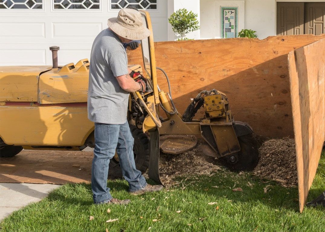 Man operating a yellow stump grinder next to a wooden enclosure on a lawn.