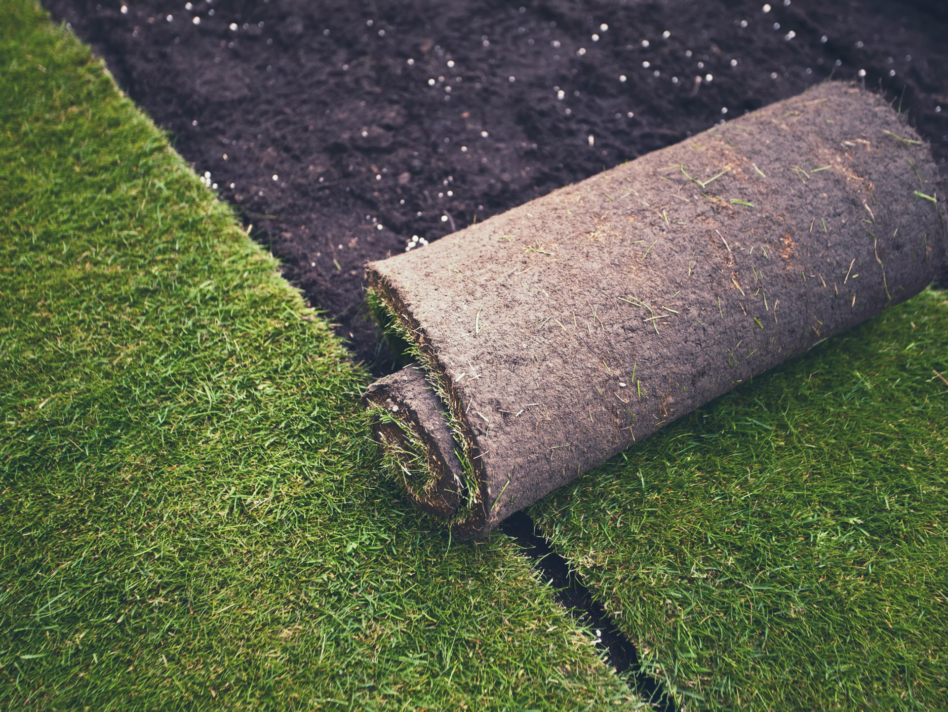 Rolled-up artificial turf beside a patch of green grass and exposed soil