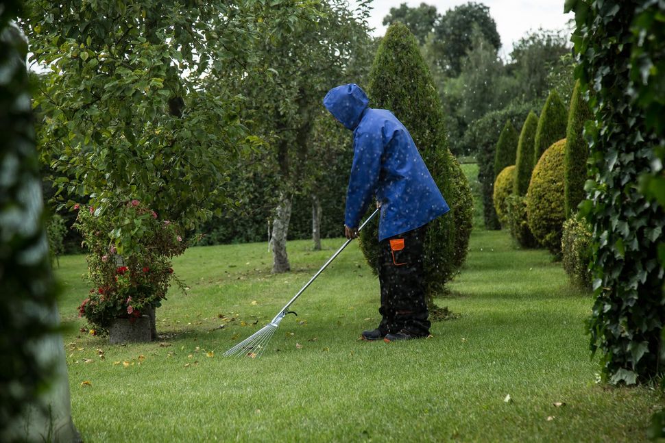 Professional lawn mowing service in Sacramento CA