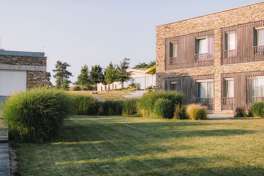 Modern house with large windows beside a green lawn and shrubs at sunset