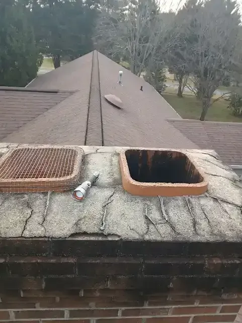 Rooftop chimney with two open vents and a view of a sloped shingle roof and trees beyond.