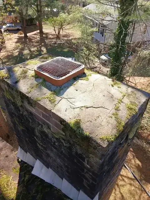 Rooftop with a small square planter on a cracked, mossy concrete surface, trees in the background.