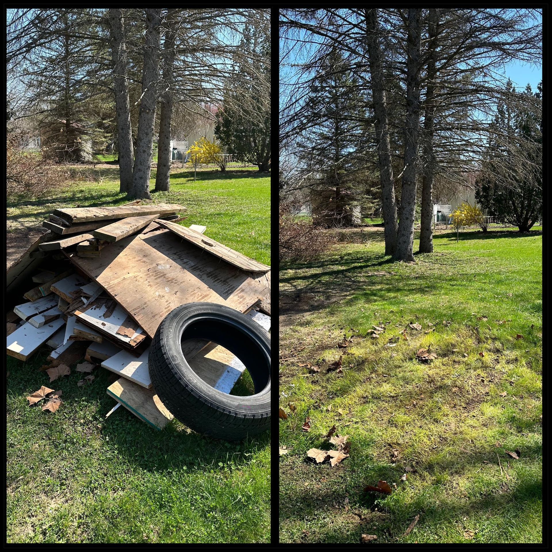 Yard with a pile of scrap wood and a tire beside trees on a sunny grassy lawn