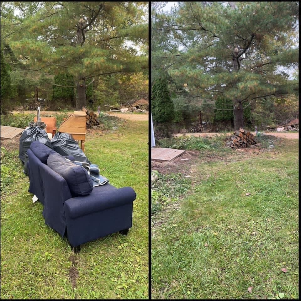 Blue couch and boxes on a grassy yard beside a large tree and wooded area.