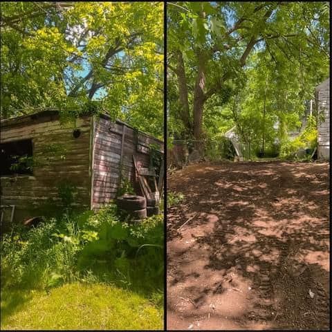 Split view of a rustic shed and a shaded dirt path under green trees