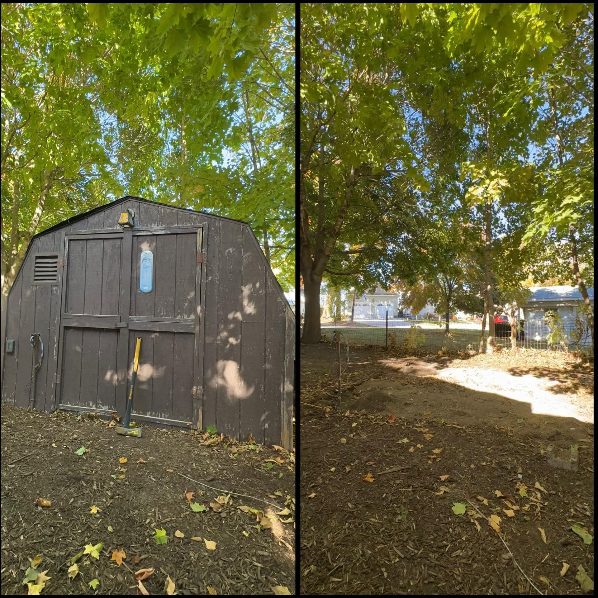 Dark shed under leafy trees with a sunlit yard and tents in the background