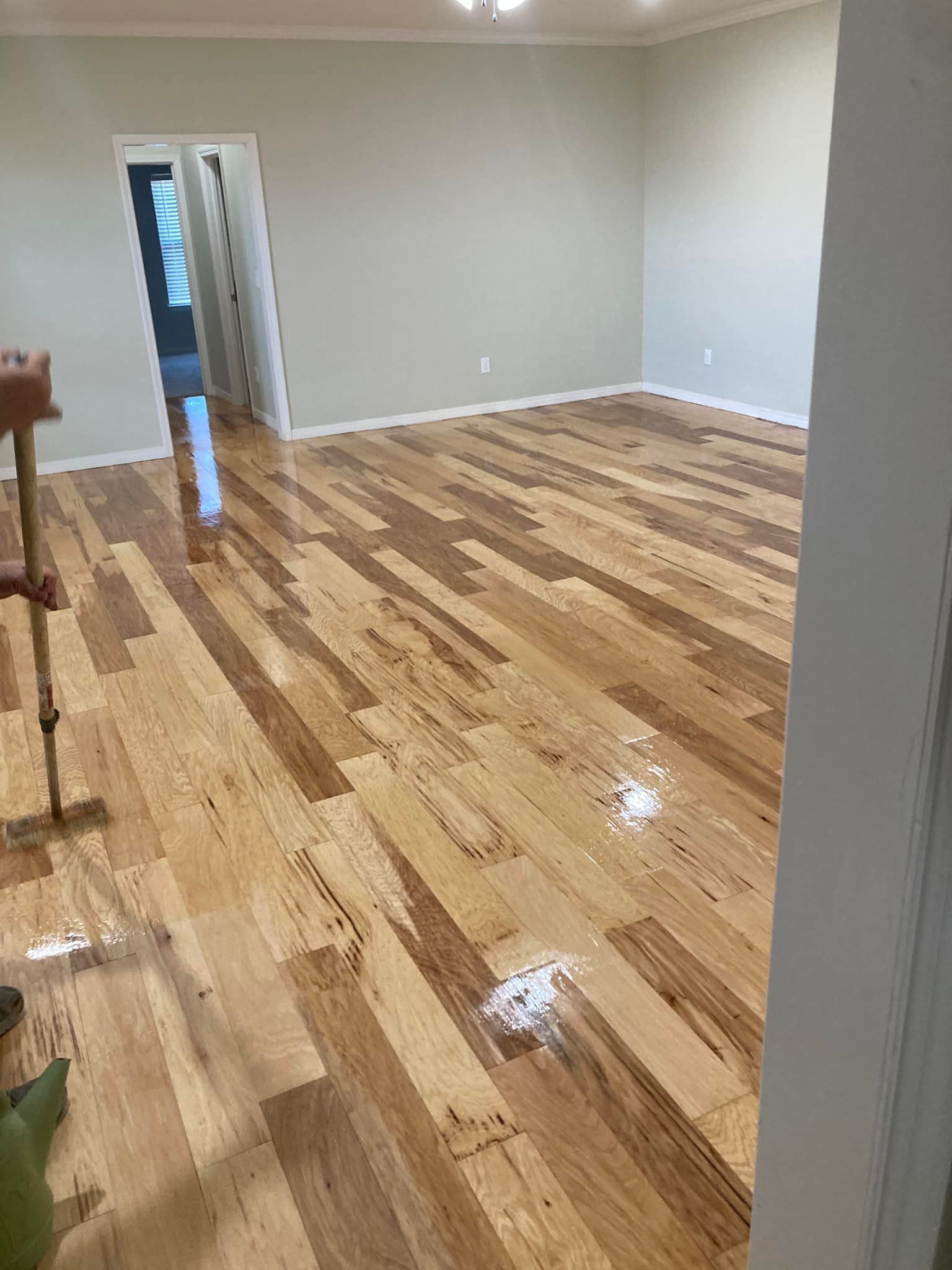 Refinished hardwood floor in a light-filled room, partially reflecting the light.