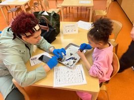 A student and parent working together to dissect an owl pellet.