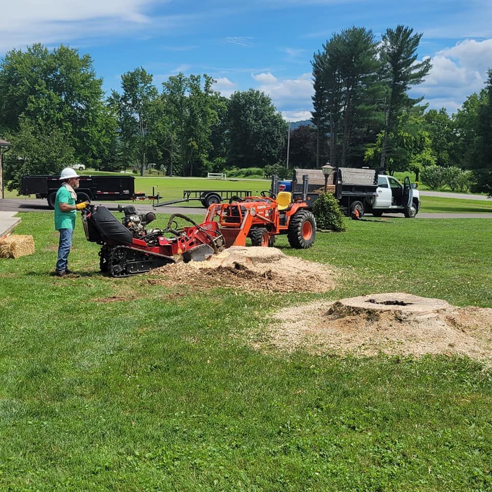 grinding tree stumps