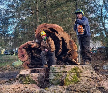 arborist