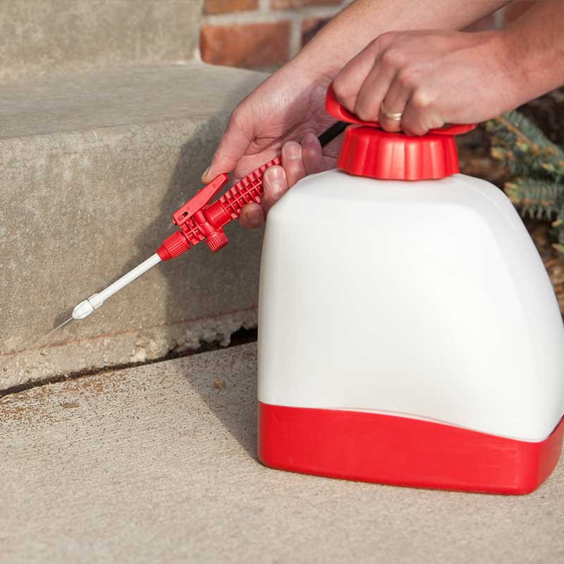 CONTROL DE PLAGAS INSECTICIDAS Y FUMIGACIONES - Control de plagas y fumigaciones