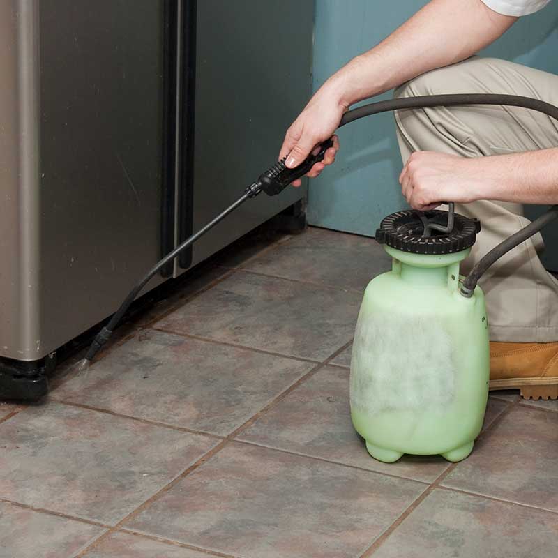 CONTROL DE PLAGAS INSECTICIDAS Y FUMIGACIONES - Control de plagas y fumigaciones