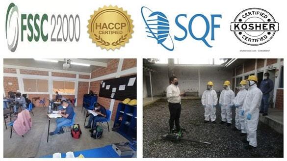 CONTROL DE PLAGAS INSECTICIDAS Y FUMIGACIONES - Control de plagas
