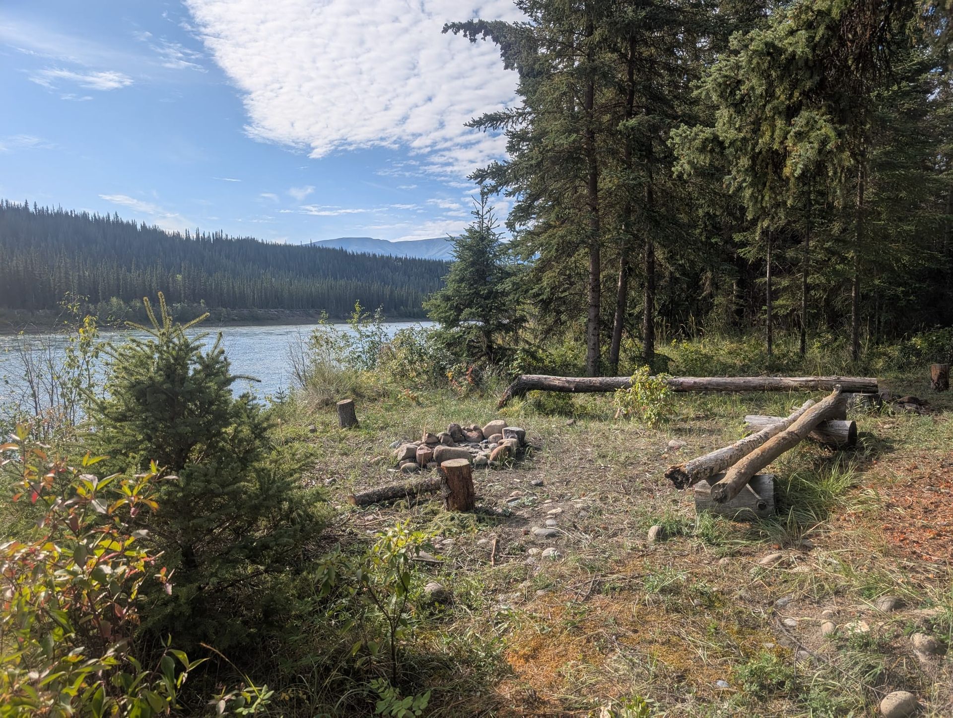 Riverfront campsite with fire pit, log benches, and trees beside a calm lake under a blue sky
