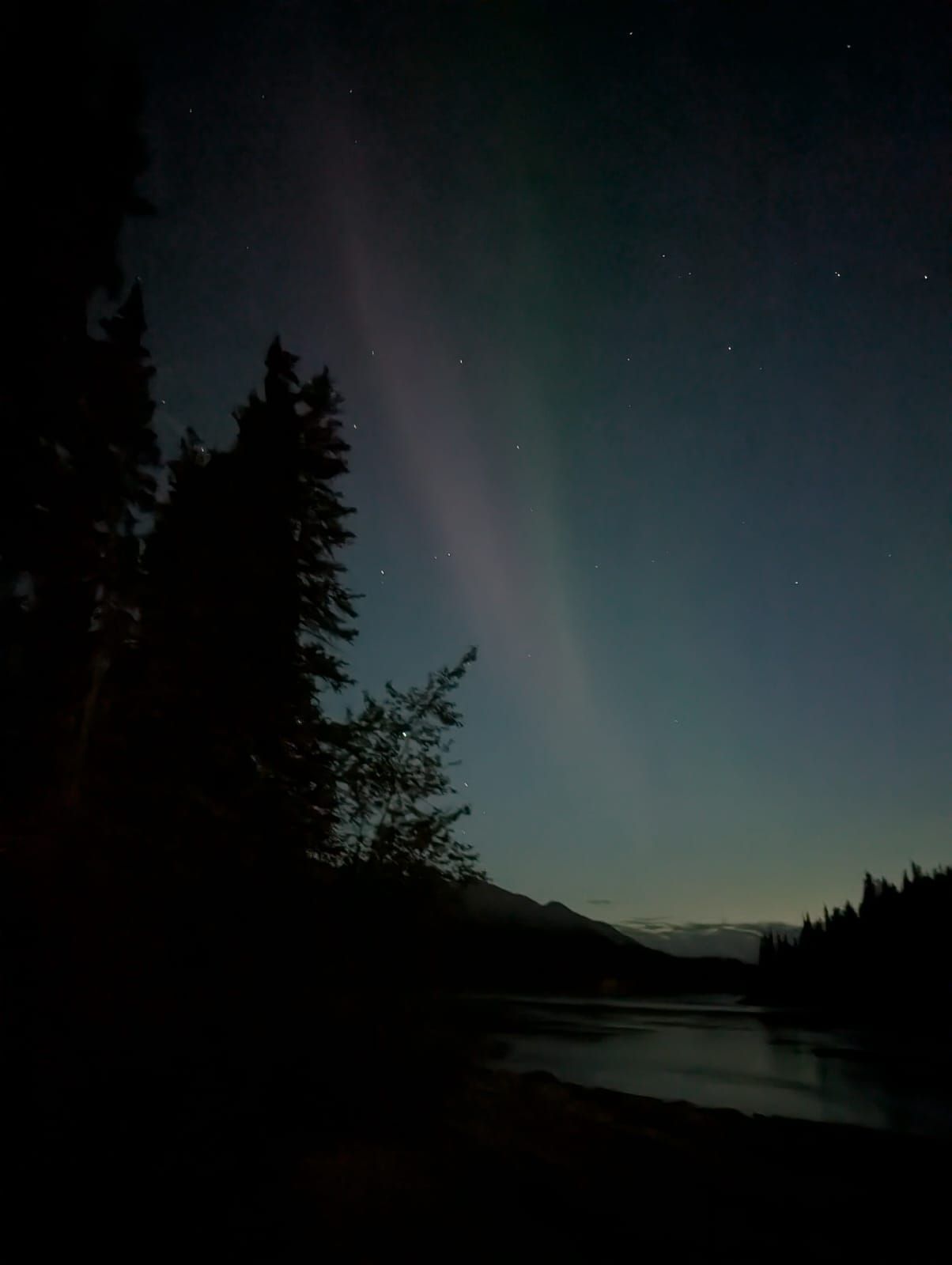 Aurora over a dark forest and lake at dusk, with faint green and pink lights in the sky