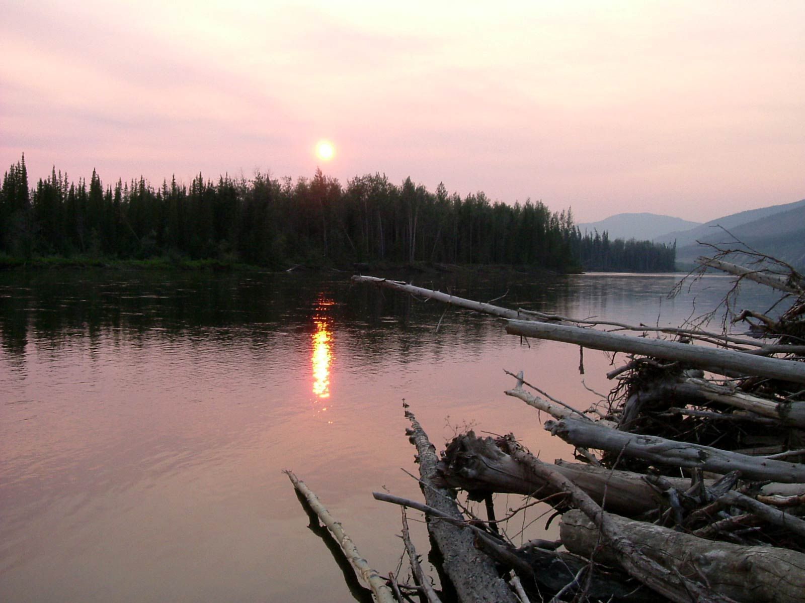 Sunset over a calm lake with forested shore and driftwood in the foreground