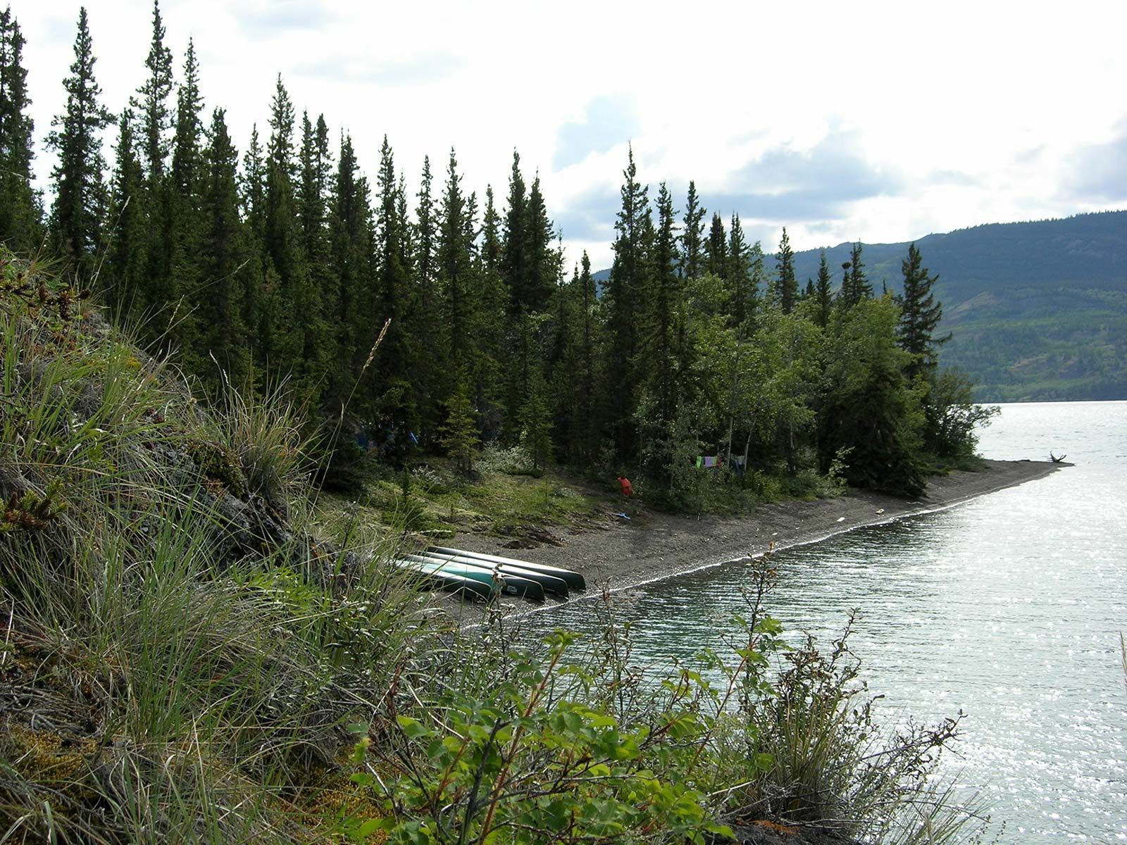 Quiet lakeshore with evergreen trees, a small boat on the rocky shore, and calm water under cloudy skies