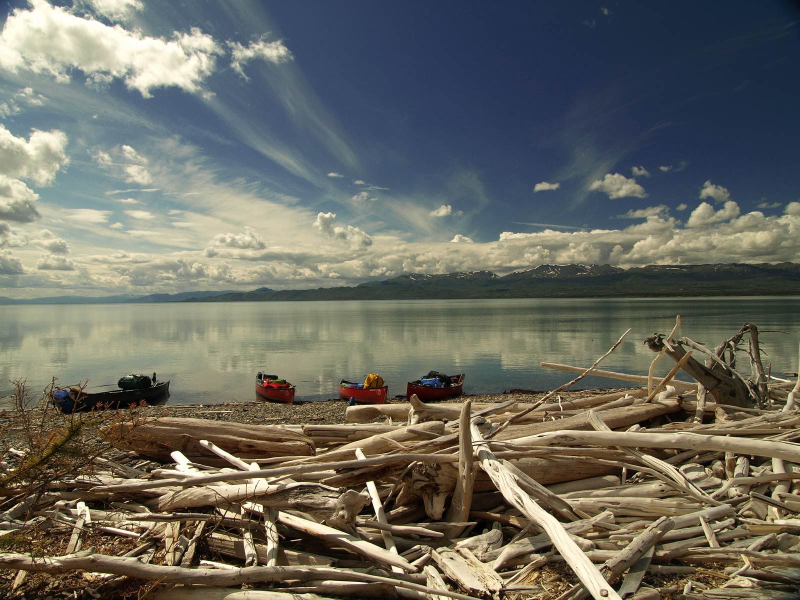 Driftwood piled on a rocky shore beside a calm lake under a cloudy blue sky