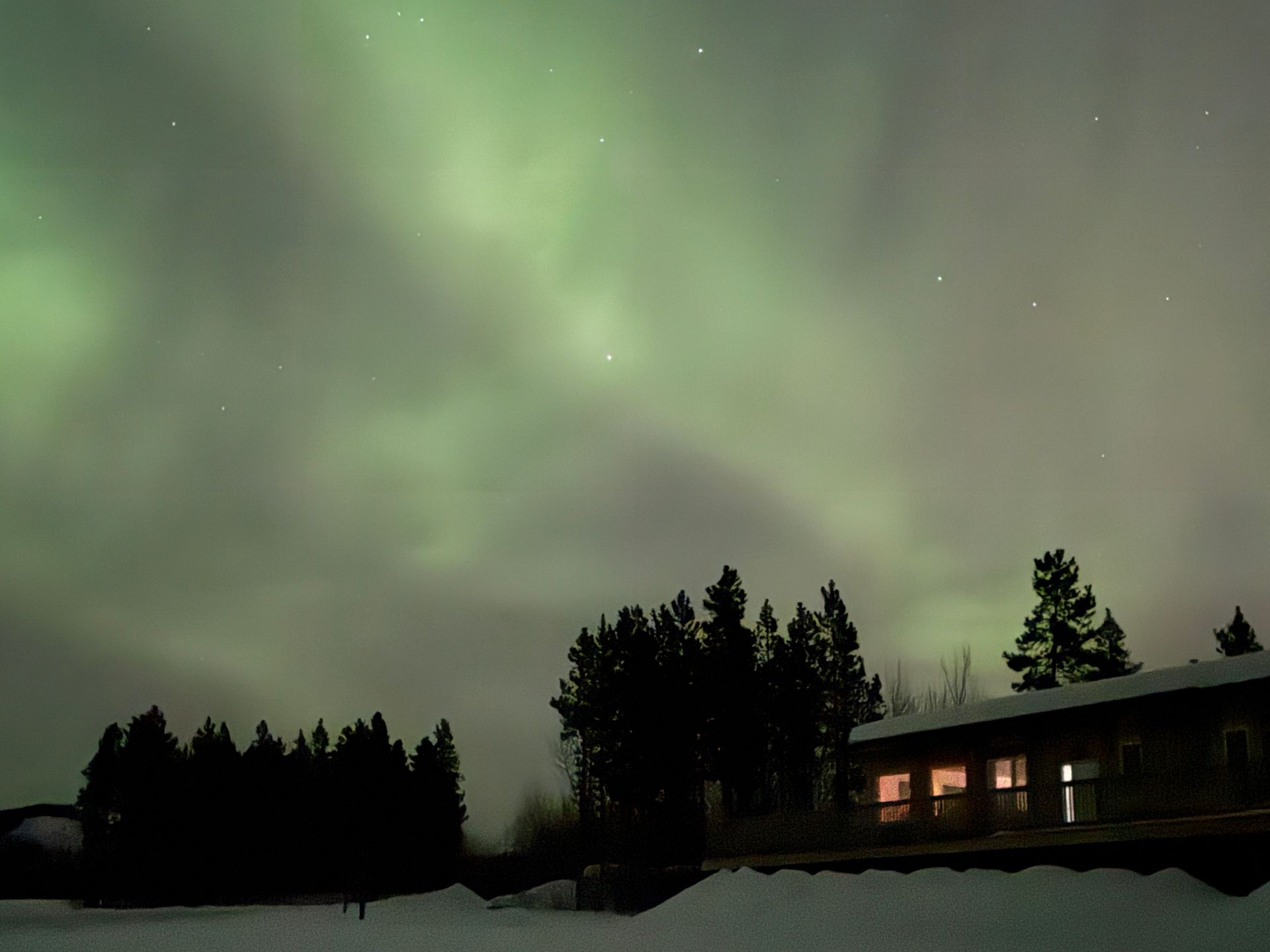 Green aurora glowing over dark trees and a lit cabin at night