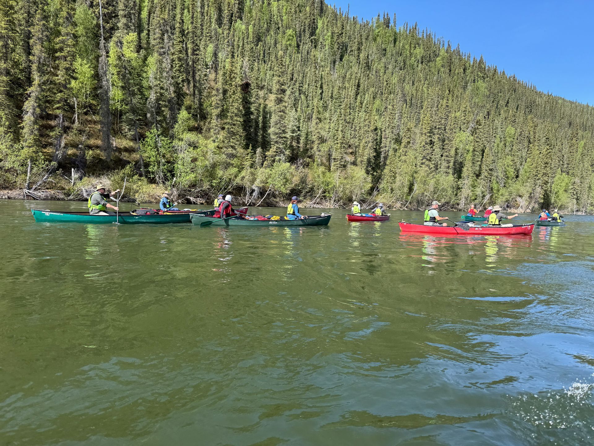 People kayaking on a lake beside a forested hillside, with green and red kayaks under a clear blue sky