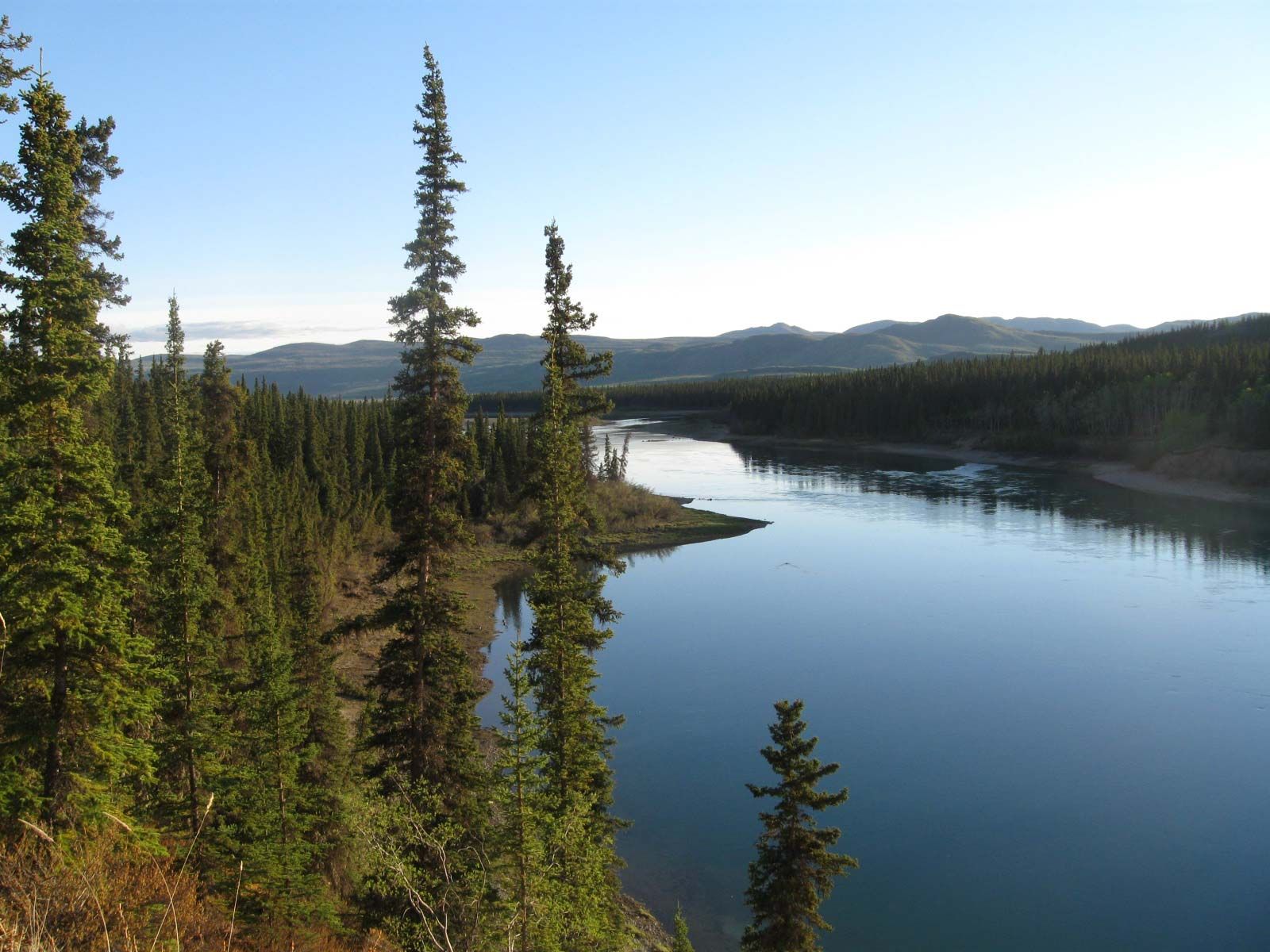 Mountain lake bordered by evergreen forest under a clear blue sky, with calm water reflecting the shoreline.