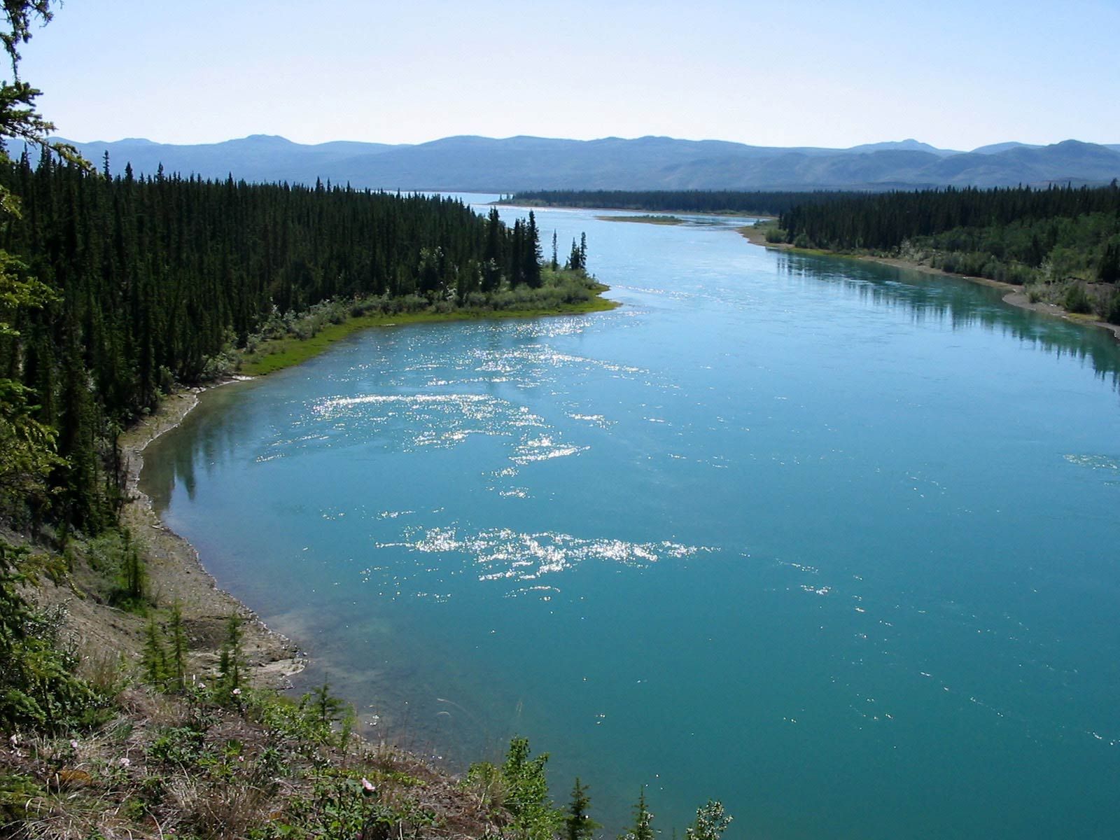 Wide turquoise river winding through a forested valley under a clear blue sky, viewed from a hillside.