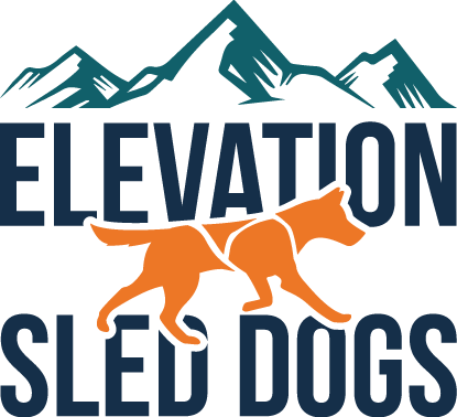 Elevation Sled Dogs logo with teal mountains, navy text, and an orange running dog silhouette
