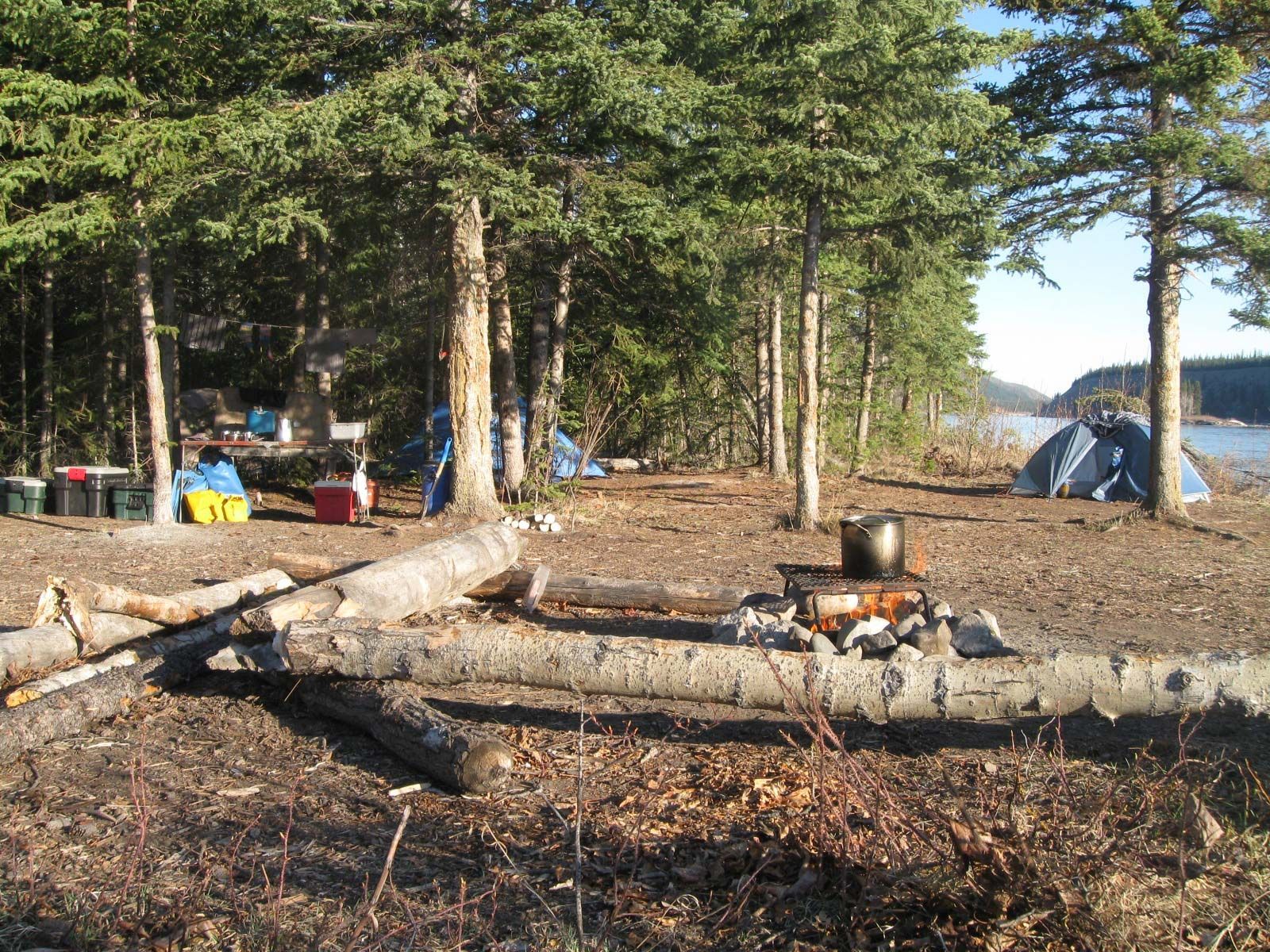 Forest campsite with cut logs, a small campfire, and tents beside a lake