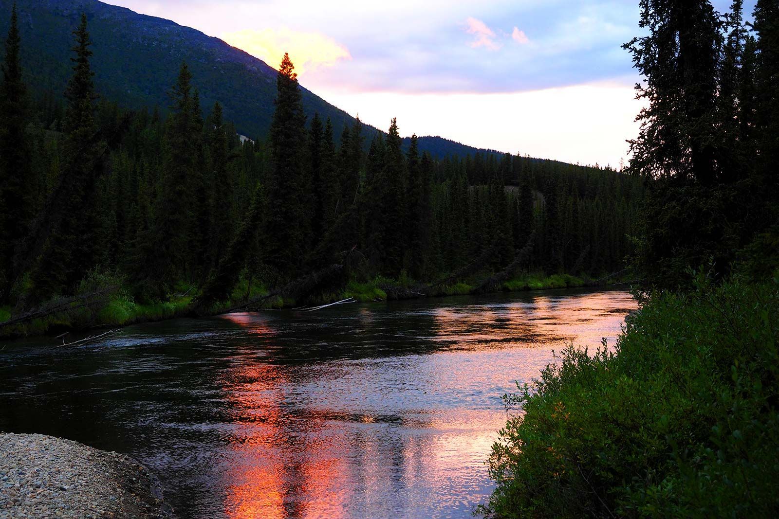 Sunset over a forest river with mountains and pine trees, reflecting pink light on the water