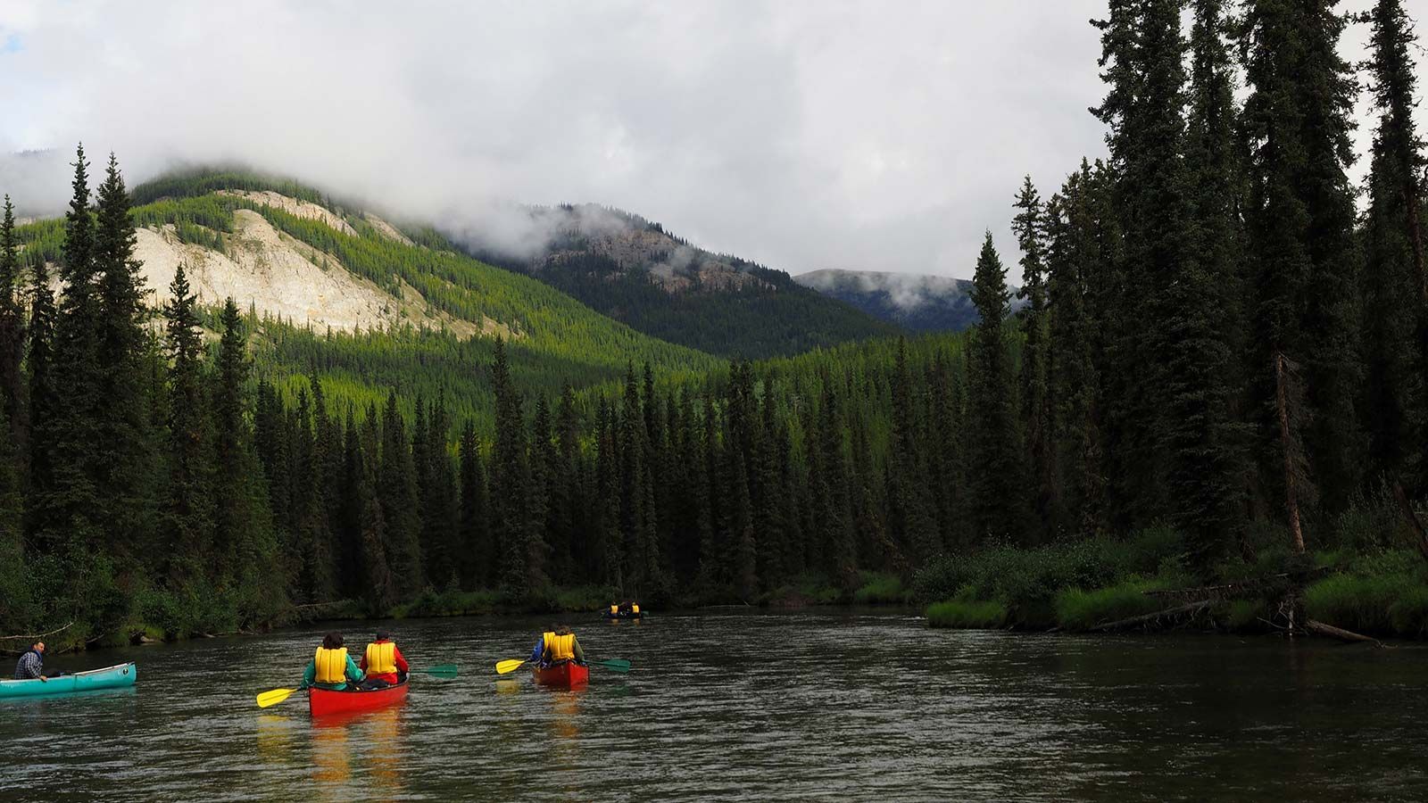 Kayakers in colorful gear paddle on a river surrounded by dark pine forest and misty mountains.