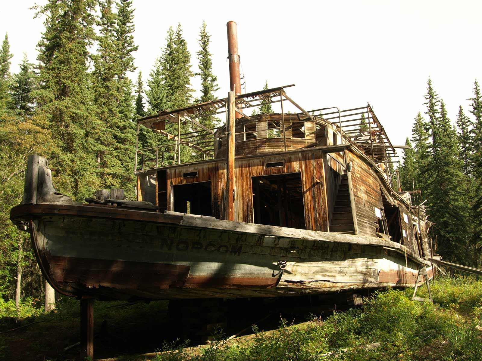 Abandoned wooden boat hull in a forest clearing, surrounded by tall green pine trees.