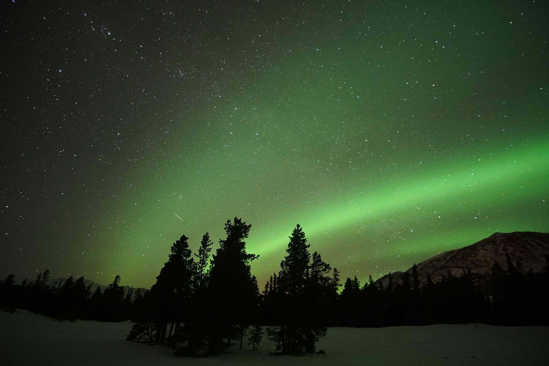 Green aurora glowing over silhouetted trees and snowy mountains under a starry night sky