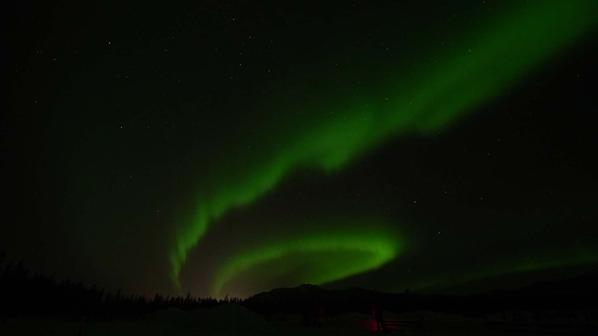 Green aurora lights swirl across a dark night sky above a silhouetted landscape.