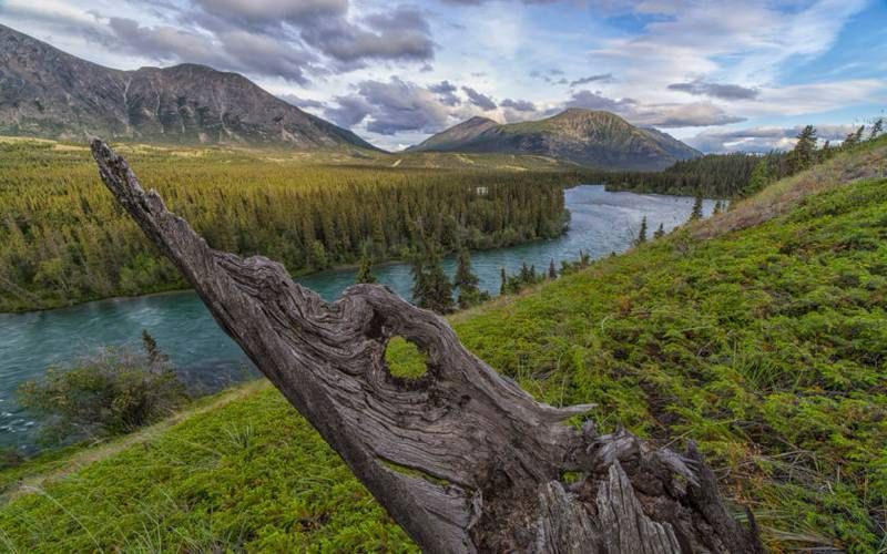 Mountain river valley with a turquoise river, grassy hillside, and a weathered tree stump in the foreground