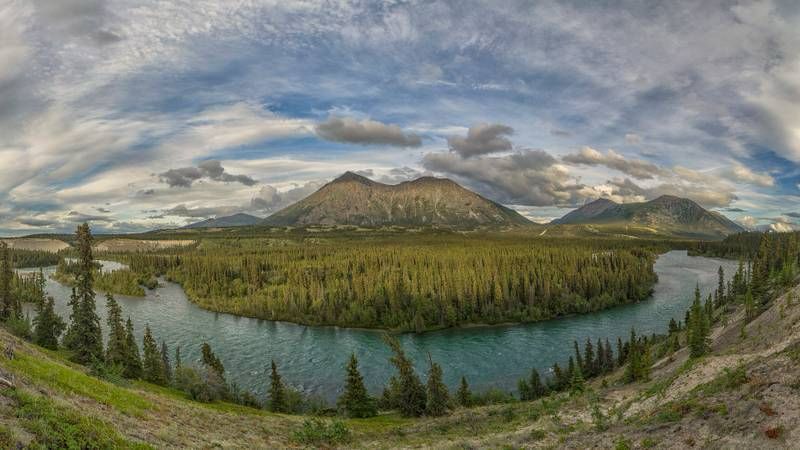 Mountain lake with a forested shoreline and cloudy sky, viewed from a grassy overlook