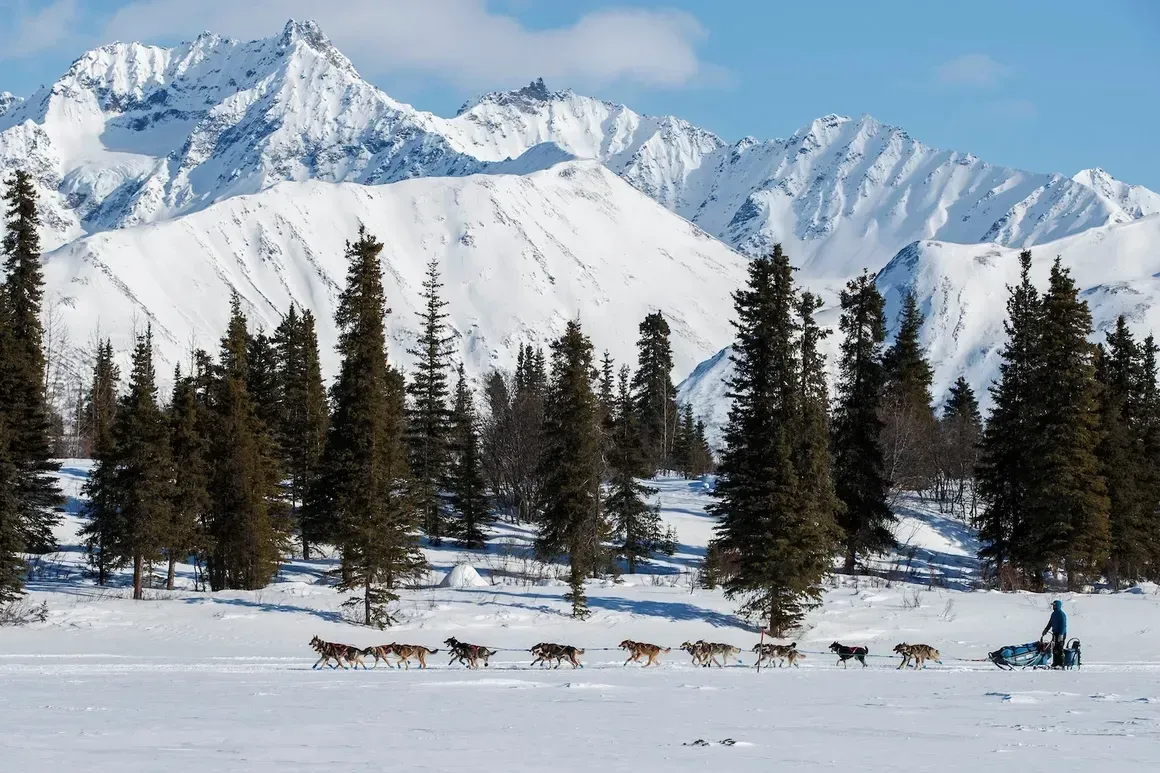 Dog sled team crossing snowy plain with mountains and pine trees in the background