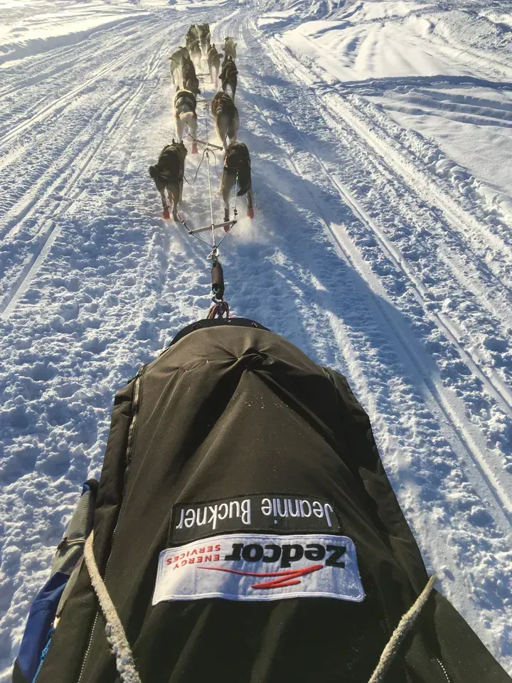Dog sled team pulling a sled across snowy terrain, seen from behind.