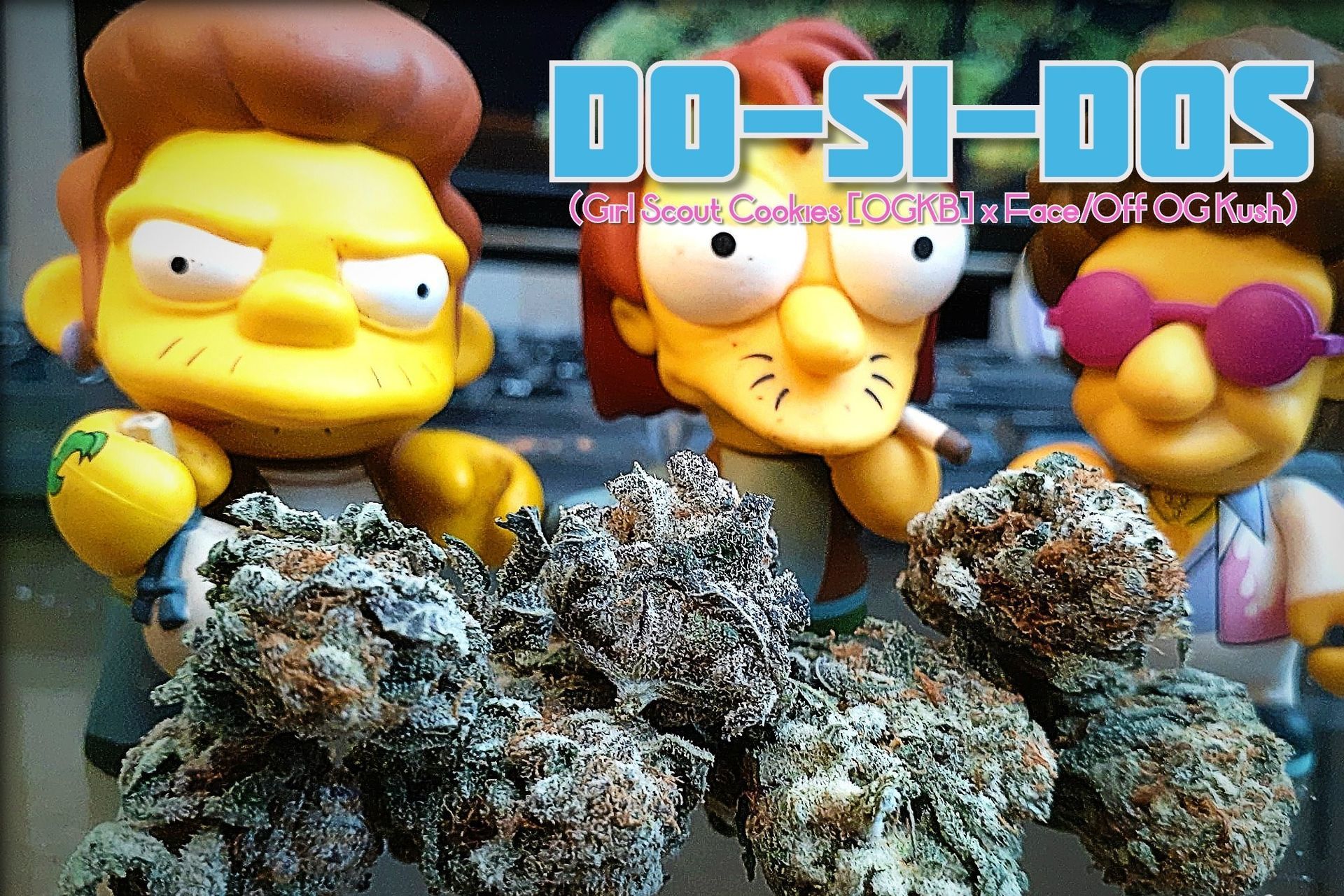 DOSIDOS EXOTIC CANNABIS STRAIN