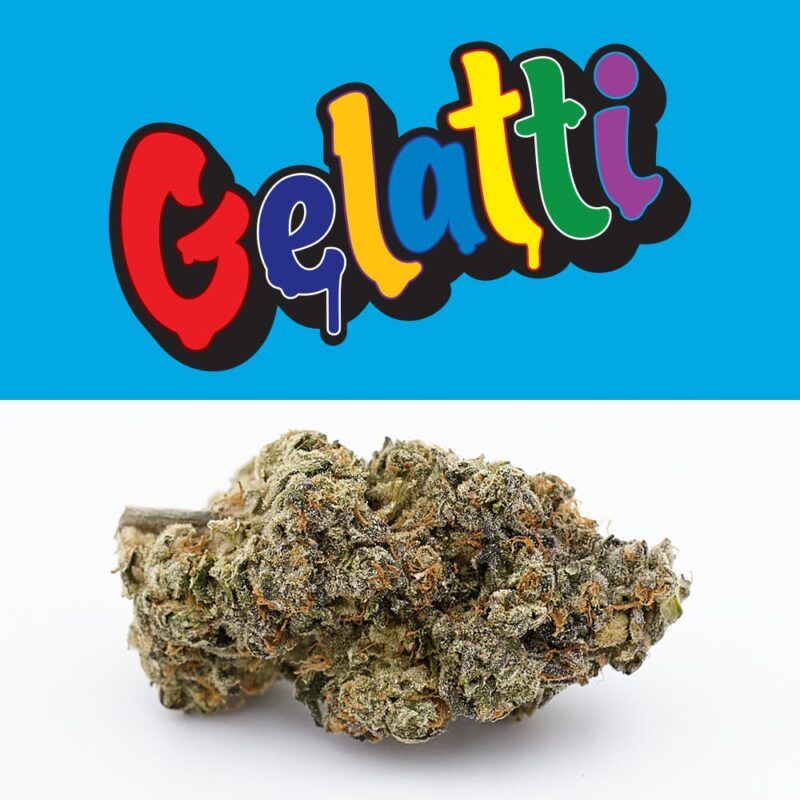 GELATI EXOTIC CANNABIS STRAIN