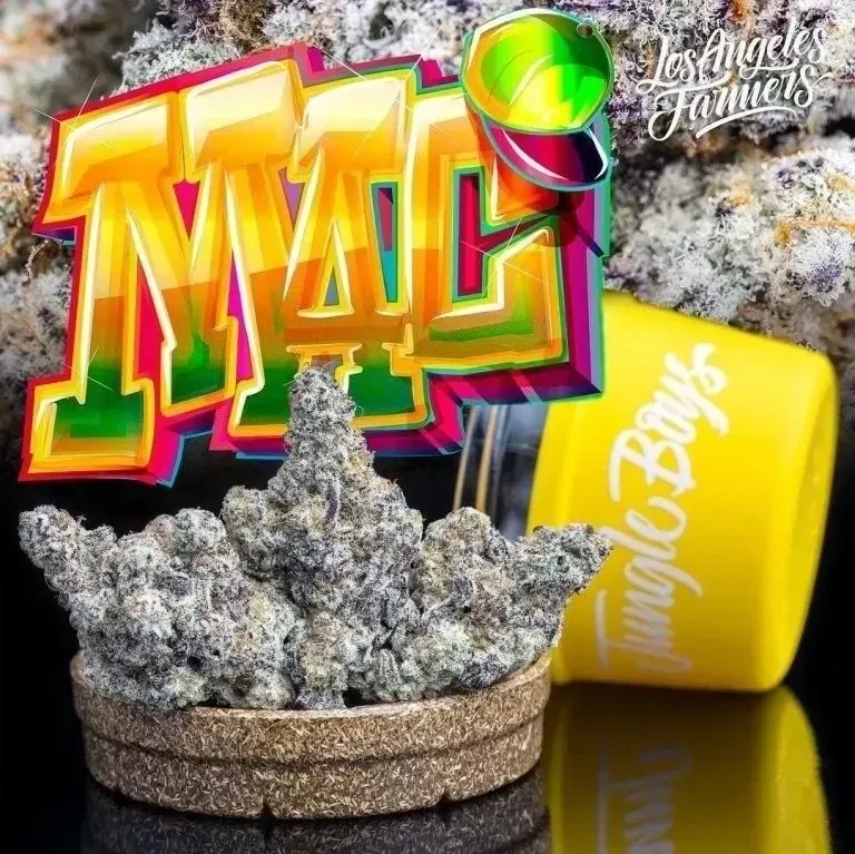 MAC